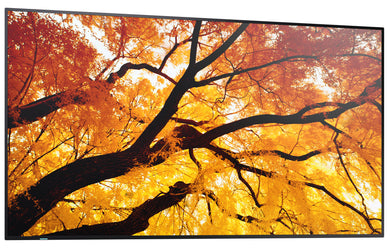 Sharp MultiSync M552 PN-M552 55-Zoll UHD 4K Display