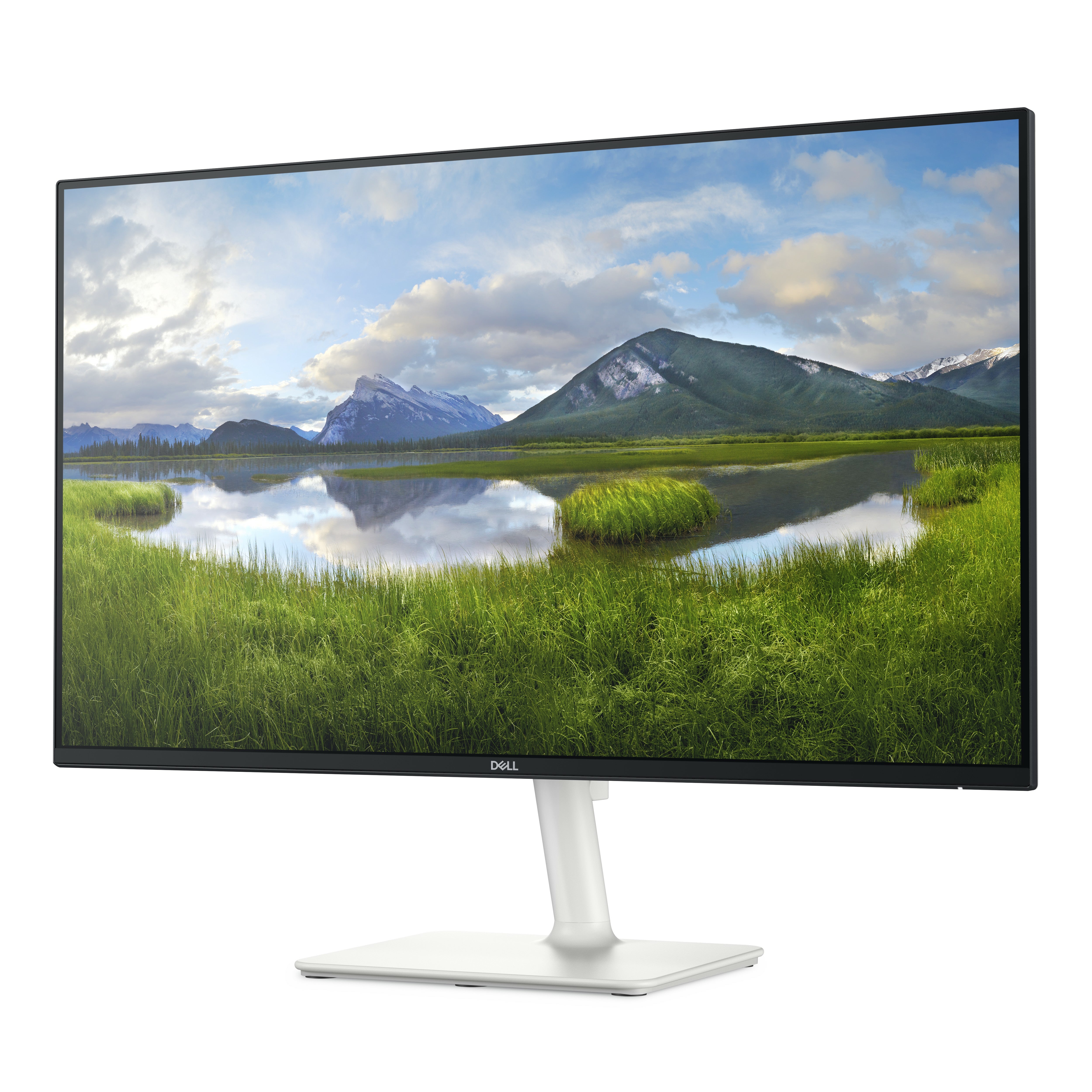 S2725H - 27 inch Full HD IPS LED Monitor - 1920x1080