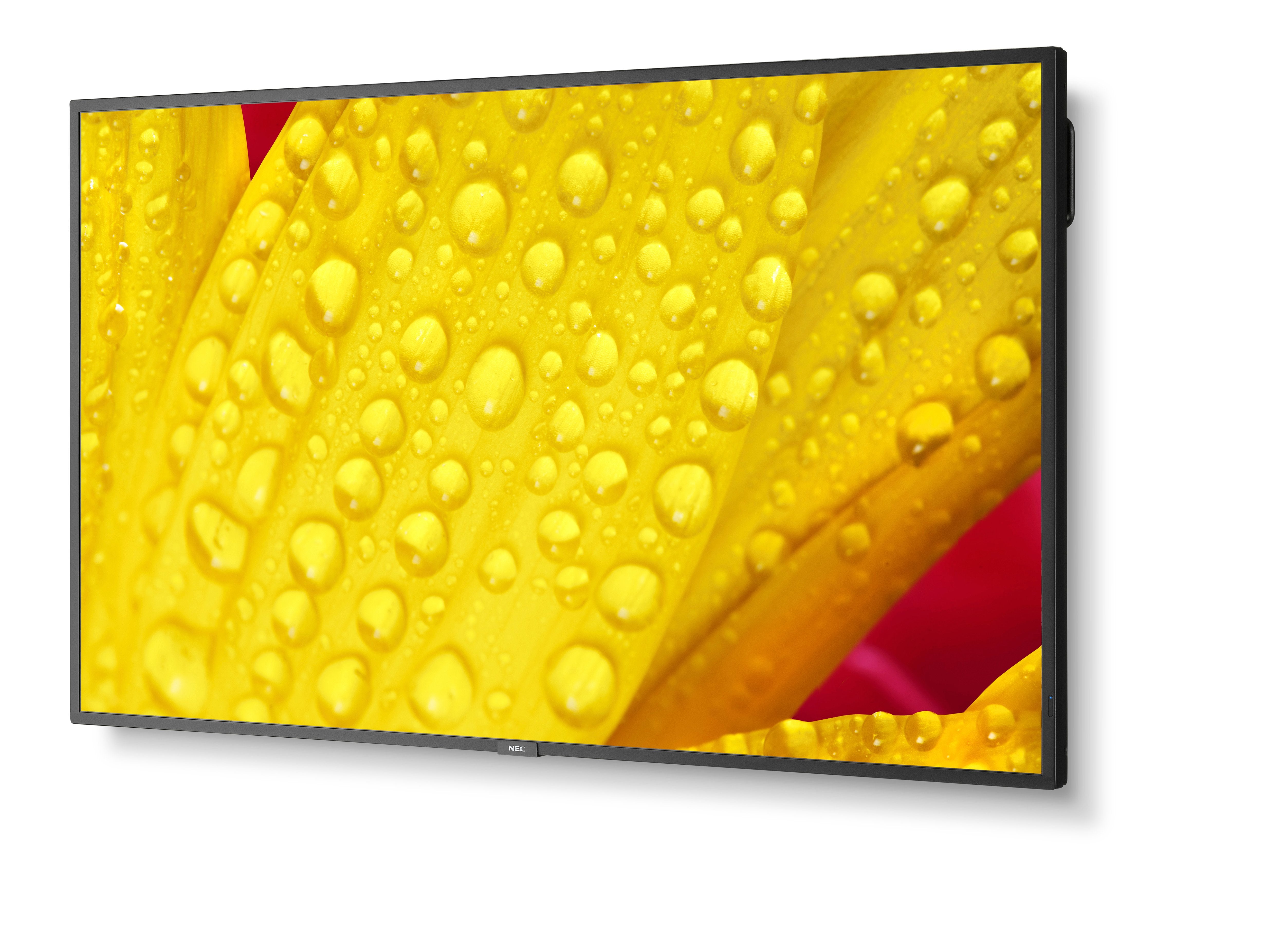 NEC MultiSync M551-2 55" 4K UHD Display Schwarz