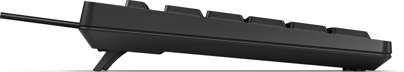 HP 125 toetsenbord QWERTY intl (USB bedraad) M27527 - L31 - Compridis