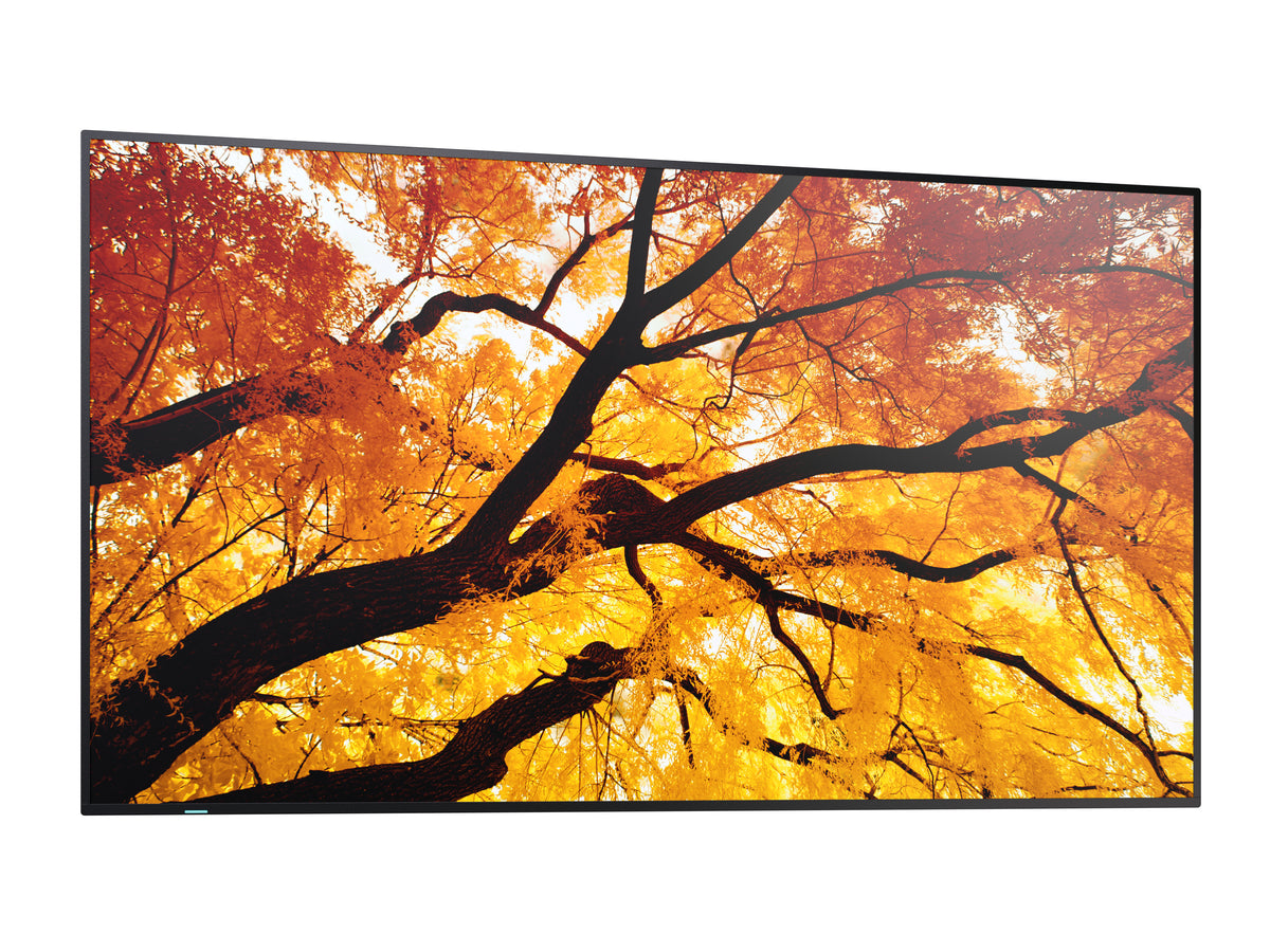 Sharp MultiSync M552 PN-M552 55-Zoll UHD 4K Display