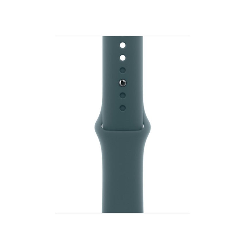 APPLE Uhr 40 Lake Green SB M/L MAX64ZM/A - Compridis