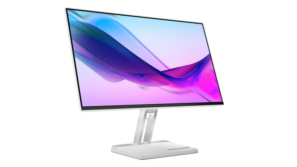 LENOVO Monitor L24I-4A 24" LED grau 67BCKAC6EU