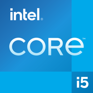 DELL Pro QCM1250 Intel® Core™ i5 i5-14500T 16 GB DDR5-SDRAM 512 GB SSD Windows 11 Pro Micro PC Mini-PC Schwarz