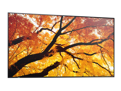 Sharp MultiSync M552 PN-M552 55-Zoll UHD 4K Display