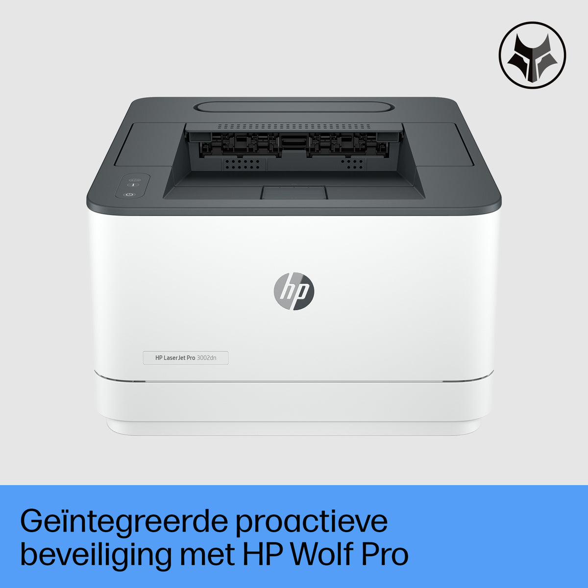 HP LaserJet Pro 3002dn Drucker 3G651F#B19 - Schwarzweiß, 33 S./Min.