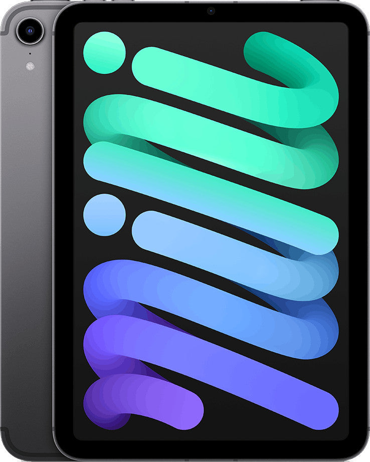 Apple iPad mini 64 GB 21,1 cm (8.3") Wi-Fi 6 (802.11ax) iPadOS 15 Grau