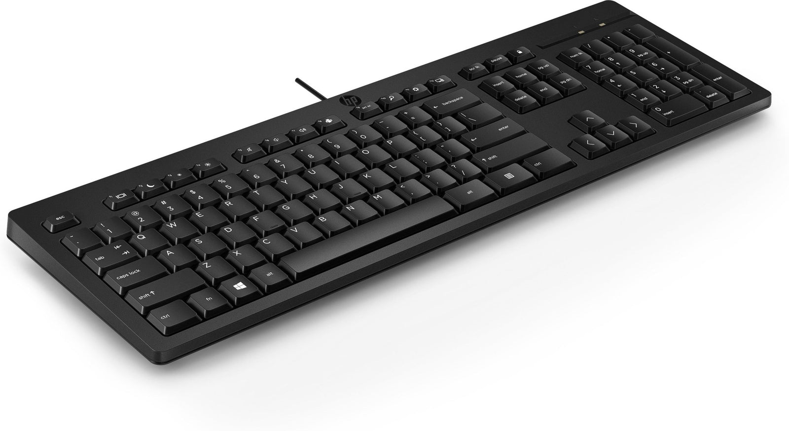 HP 125 Tastatur QWERTY intl (USB kabelgebunden) M27527 - L31 - Compridis