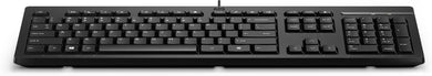 HP 125 Tastatur QWERTY intl (USB, kabelgebunden) M27527 - L31 - Compridis
